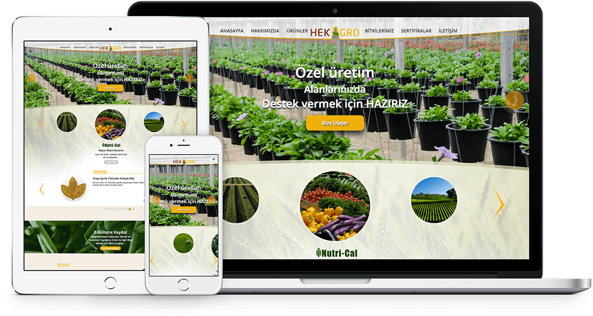 HEKAGRO | Web Tasarım